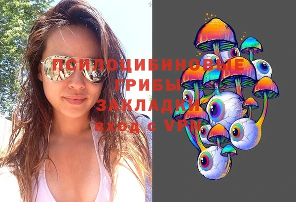 МДПВ Заволжск